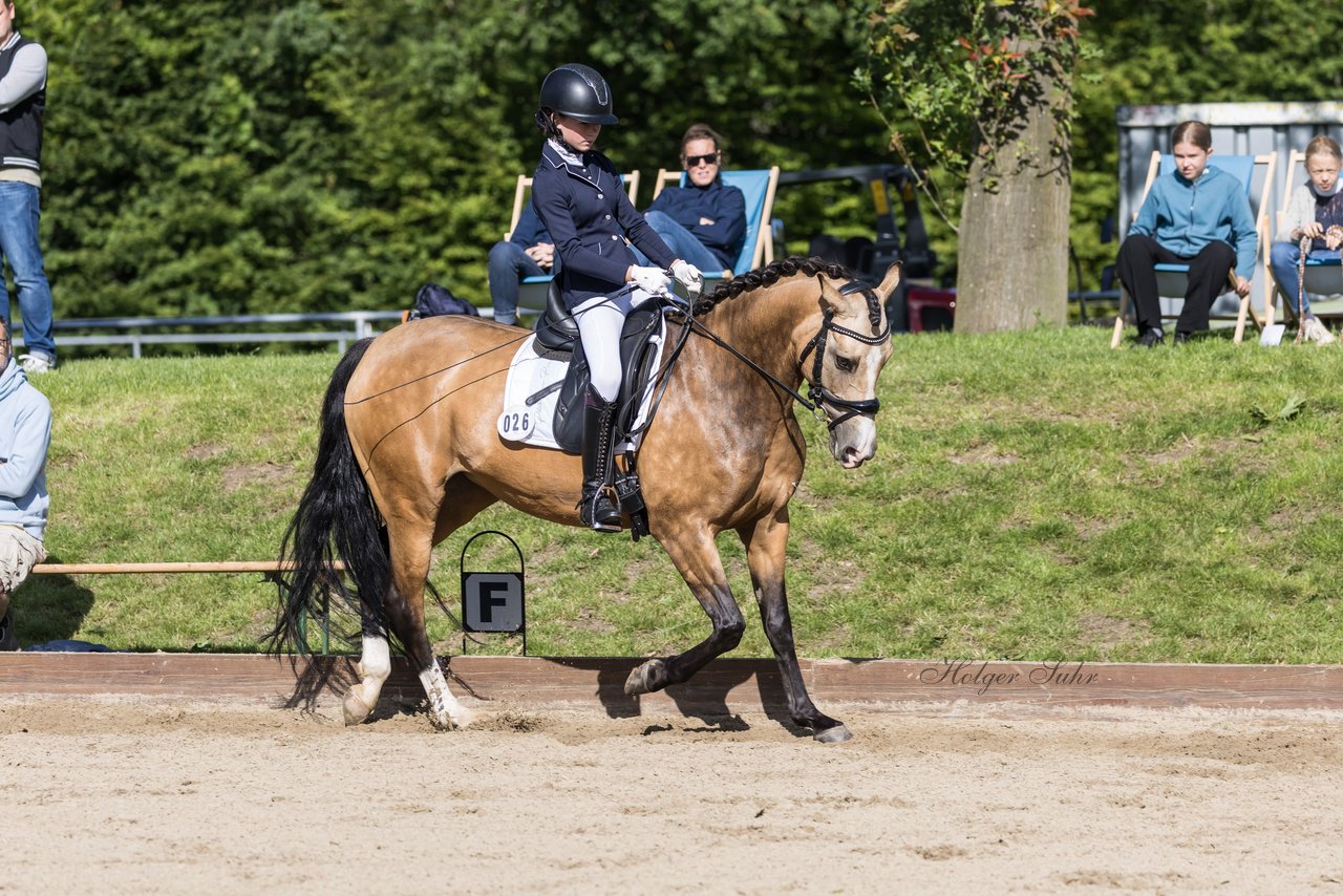 Bild 554 - Pony Akademie Turnier
